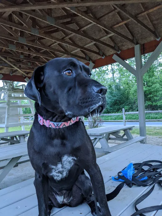 Ticonderoga Animal Hospital 8