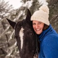 Meadowbrook Equine ico