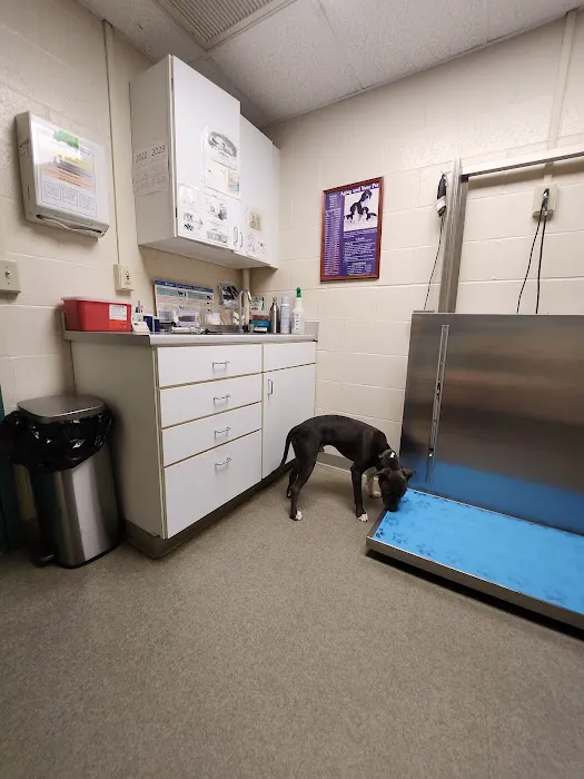 Middlebury Animal Hospital 1