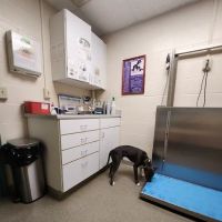 Middlebury Animal Hospital ico