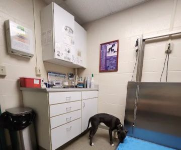 Middlebury Animal Hospital