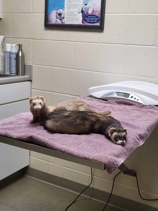 Middlebury Animal Hospital 2