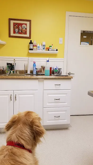 Exeter Veterinary Hospital 2
