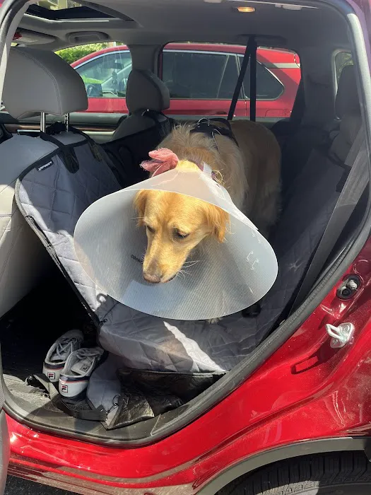 North Shore Animal Hospital 4