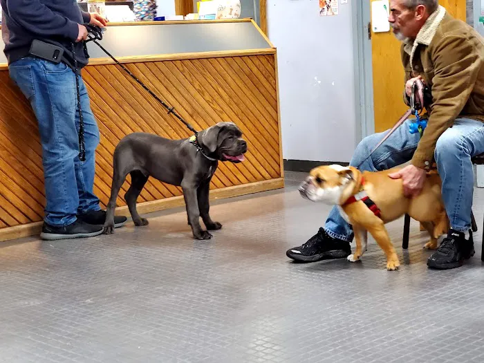 North Shore Animal Hospital 3