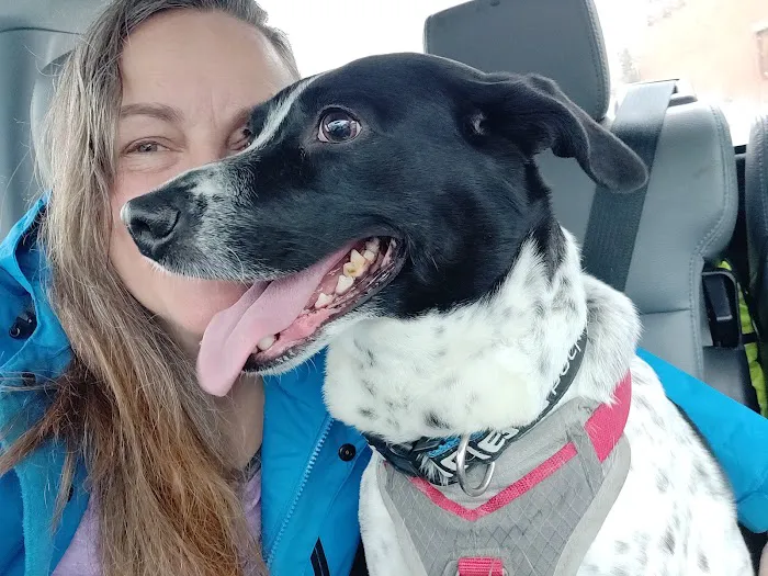 North Shore Animal Hospital 2