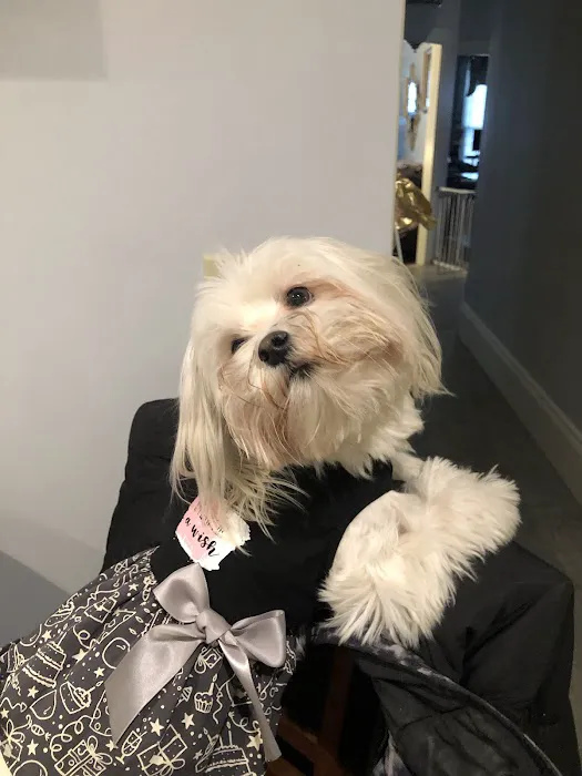 East Boston Animal Hospital 1