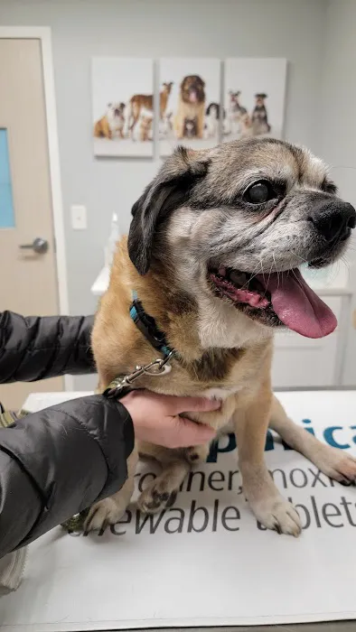 New England Veterinary Clinic & Pet Resort 3