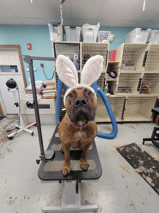 New England Veterinary Clinic & Pet Resort 5