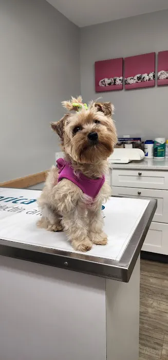 New England Veterinary Clinic & Pet Resort 4