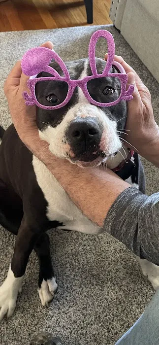 Lynn Pet Clinic 6