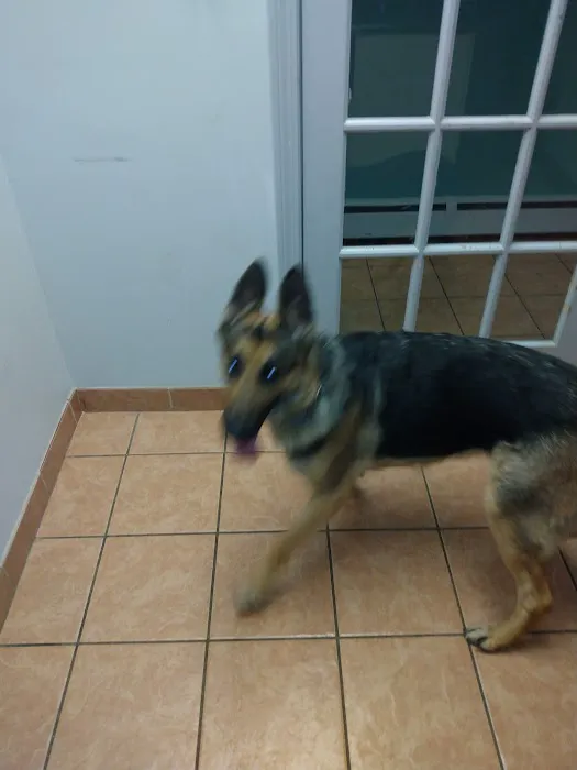 Lynn Pet Clinic 5
