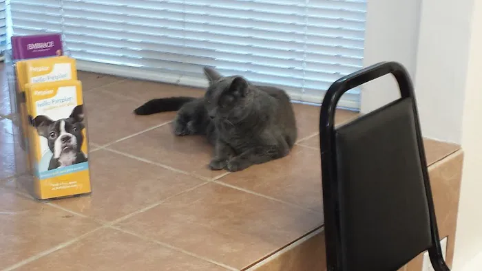 Lynn Pet Clinic 1