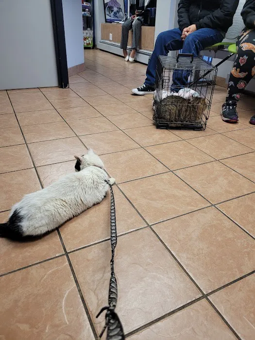 Lynn Pet Clinic 7