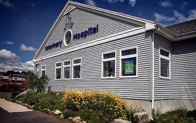 All Creatures Veterinary Hospital 5