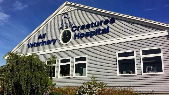 All Creatures Veterinary Hospital 4