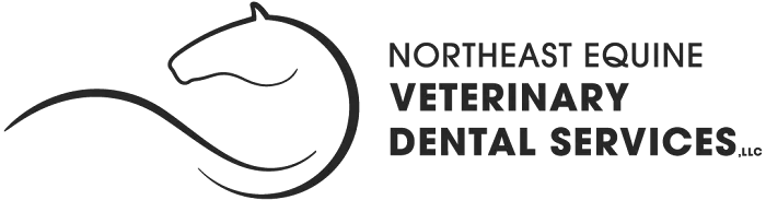 Northeast Equine Veterinary Dental Services, LLC 7