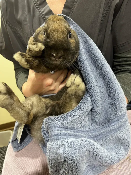 Putnam Veterinary Clinic 6