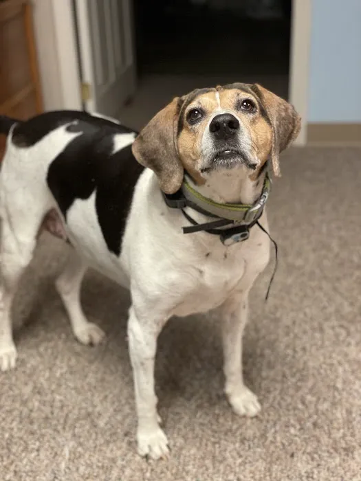 Putnam Veterinary Clinic 1