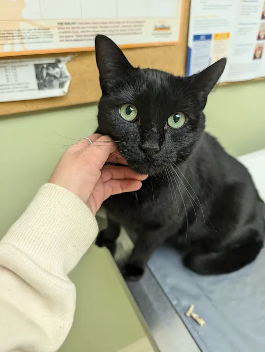 Hawthorne Animal Health Care 3