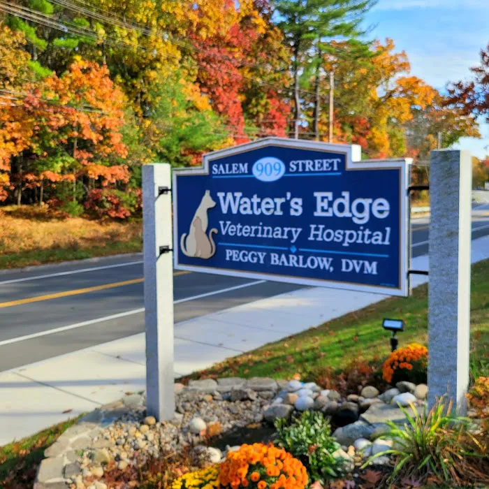 Water's Edge Veterinary Hospital 3