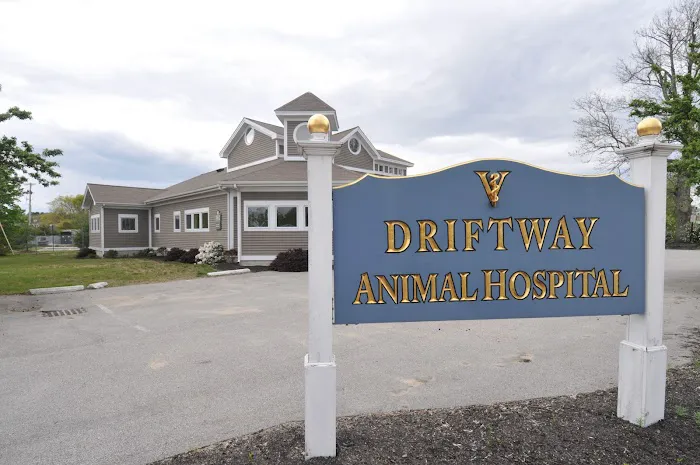 Driftway Animal Hospital 6