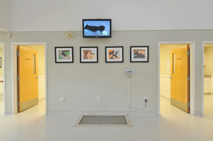 Driftway Animal Hospital 4