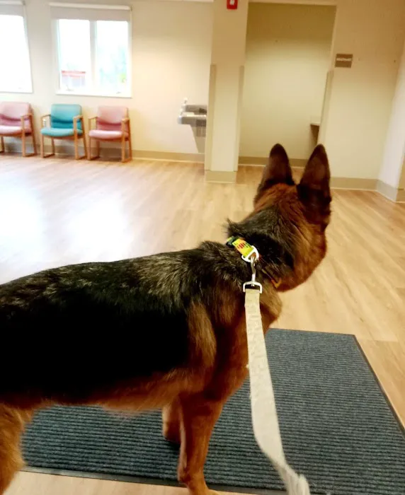 Tompkins Veterinary Services 7