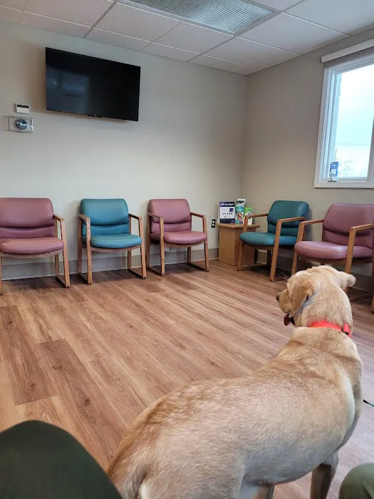 Tompkins Veterinary Services 1
