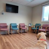 Tompkins Veterinary Services ico
