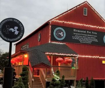 Elemental Pet Vets