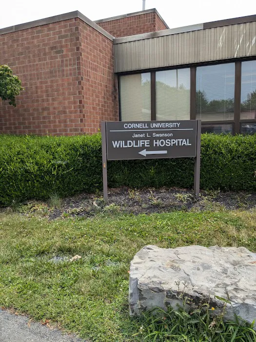 Janet L. Swanson Wildlife Hospital 3