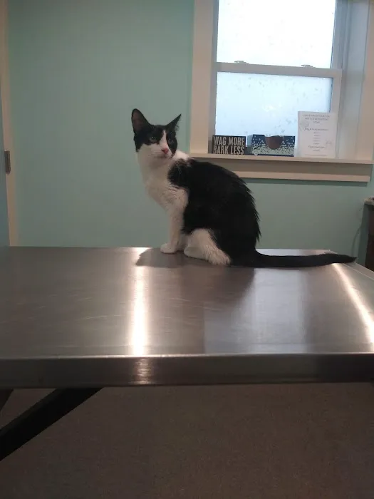 Cortland Veterinary Hospital 7
