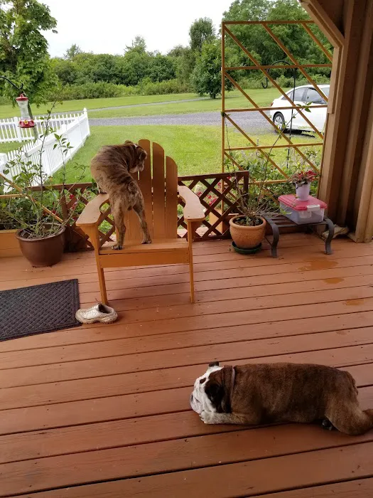 Cortland Veterinary Hospital 4