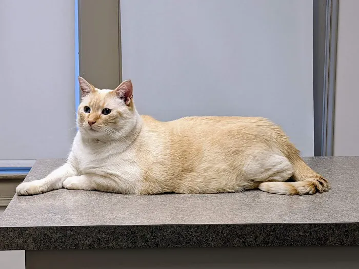 Crossroads Veterinary Clinic 2