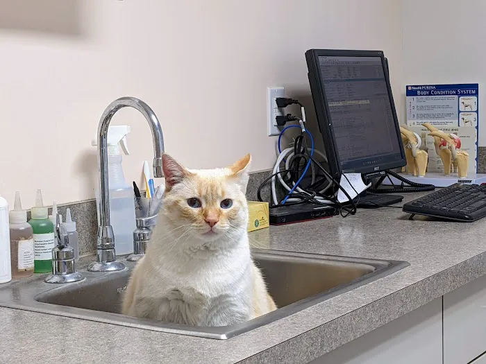 Crossroads Veterinary Clinic 3