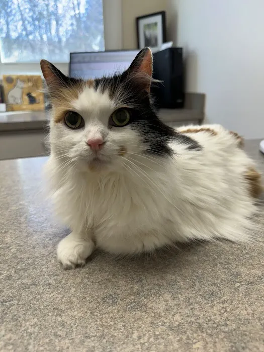 Crossroads Veterinary Clinic 4