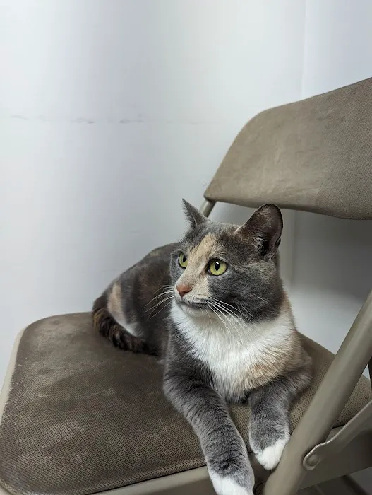 Crossroads Veterinary Clinic 6