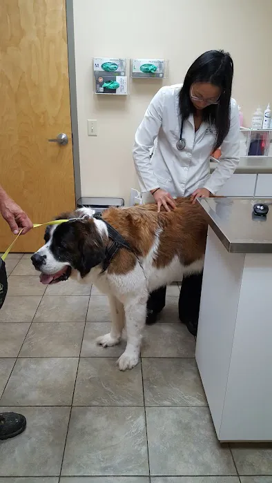 Midstate Veterinary Services 4