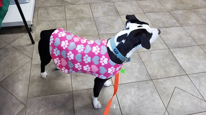 Midstate Veterinary Services 7