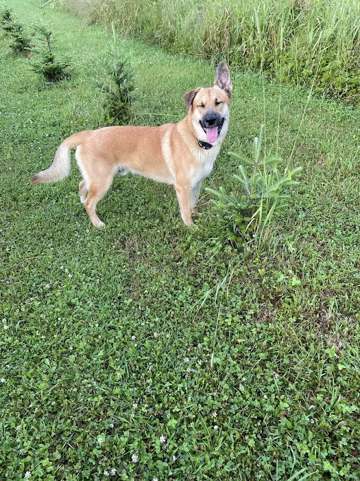 Mid State Veterinary Services: Rath Laura DVM 2
