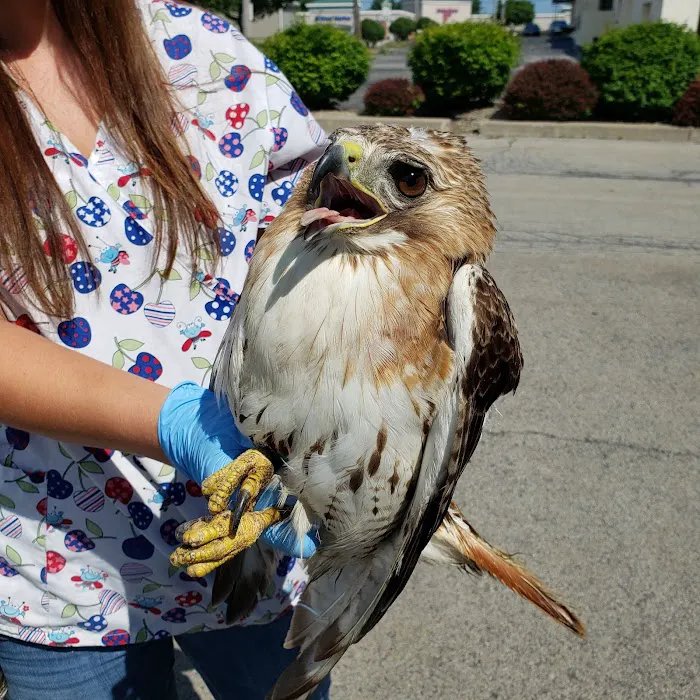 Lakeside Animal Hospital 1