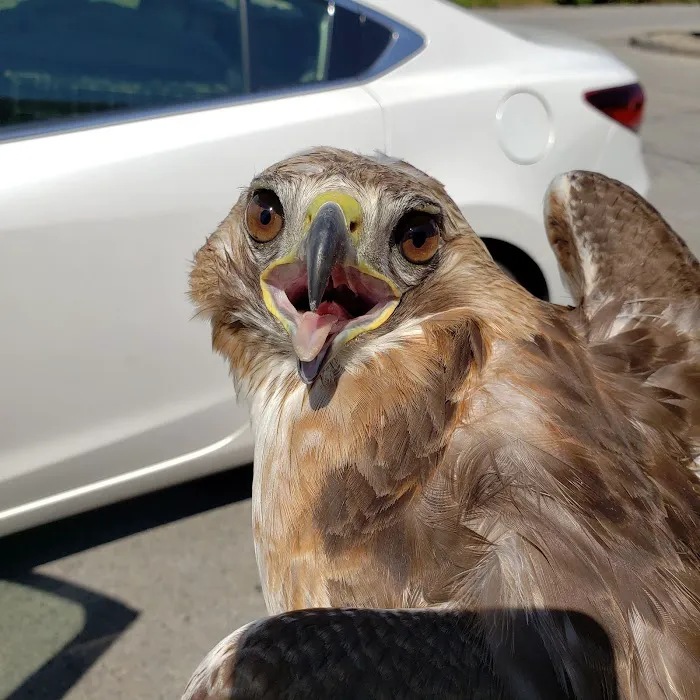 Lakeside Animal Hospital 9