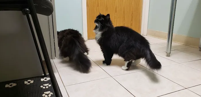 Lakeside Animal Hospital 5