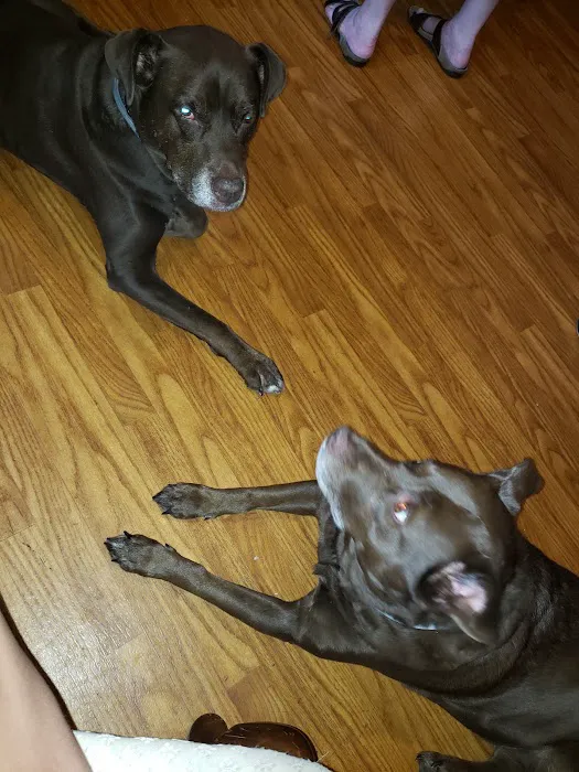 Lakeside Animal Hospital 6