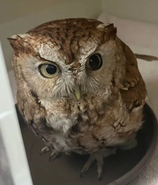 Lakeside Animal Hospital 10
