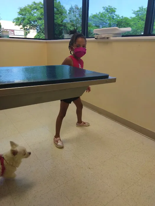Rochester Community Animal Clinic 9