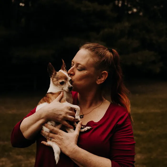 Animal Urgent Care 2