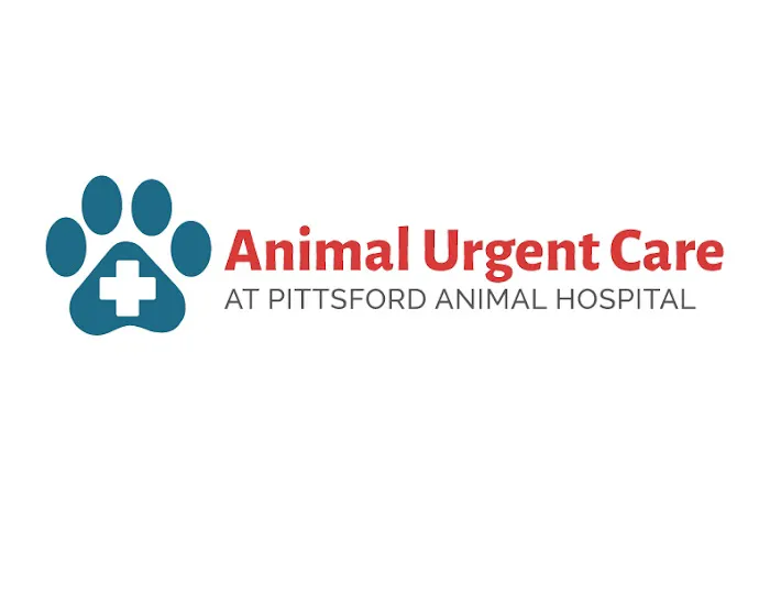 Animal Urgent Care 4