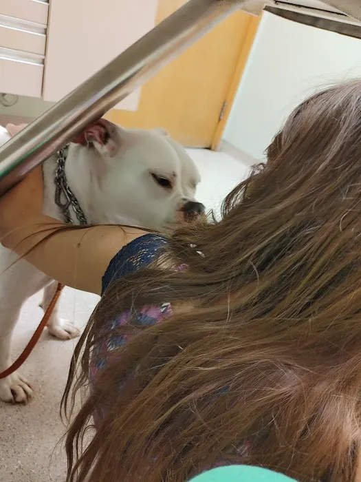 Pittsford Animal Hospital (of Pittsford) 4